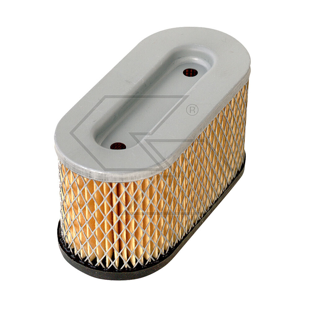 Air Filter B & S 5hp Ohv