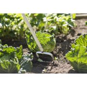 Weeder-136563 Weeder-136563